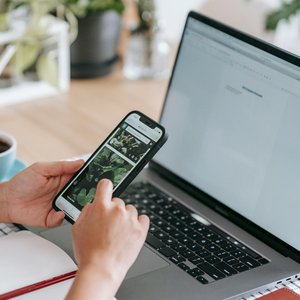 Person using a smartphone and laptop at a desk with coffee and plants, epitomizing modern remote work.