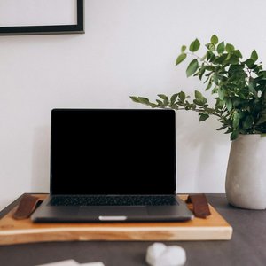 A modern home workspace featuring a laptop and a vase of green plants.