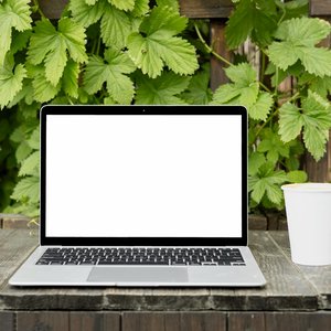 An outdoor mockup featuring a laptop with a blank white screen, set against a lush backdrop of green leaves, offering copy space.