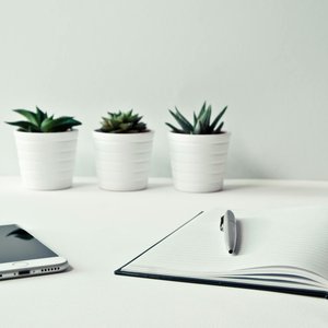 A clean, minimalist workspace featuring a smartphone, open notepad, pen, and potted succulents.