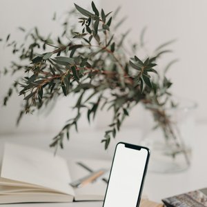 A sleek smartphone with a blank screen on a wooden stand, styled with a decorative plant and open notebook.