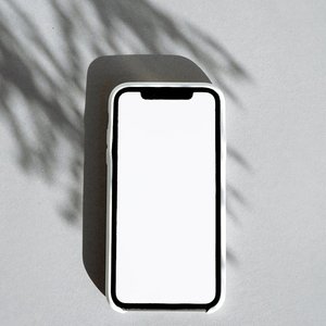 Blank smartphone screen on gray background with artistic leaf shadow.