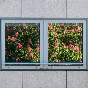 Window reflecting vibrant pink blossoms against textured stone wall, capturing nature's beauty in urban setting.