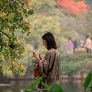 Young woman engrossed in smartphone surrounded by lush greenery in a serene park.