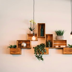 Contemporary wooden shelves with plants and decor, illuminated by hanging lights.