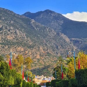 Free stock photo of abstract photography, background blue, blue and green