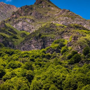Vivid mountain landscape in Occitanie, France with lush green trees and clear blue sky.