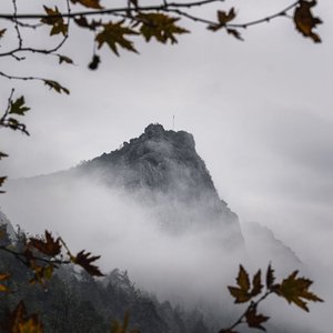 Captivating misty mountain peak surrounded by autumn foliage, creating a serene natural scene.