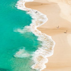 Drone view of wavy ocean with birds flying high on sunny hot weather
