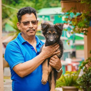 Free stock photo of adult, animal, blue shirt