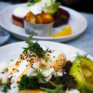 Delicious poached eggs served with avocado and fresh greens, perfect for a healthy gourmet brunch.